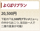 よくばりプラン 20,500円 下記の『12,500円プランメニュー』の中からお二つ。当日お一人で二度の変身が可能！